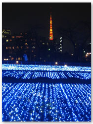 ミッドタウン・クリスマス・イルミネーションからの東京タワー
